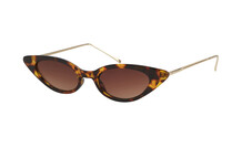 Tortoiseshell Sunglasses &euro;5.00