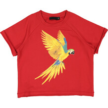 Red Short Sleve Parrot Sweatshirt