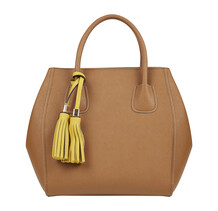 Tan Handbag
