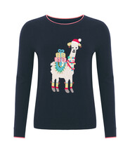 Navy Christmas Jumper with Camel Print