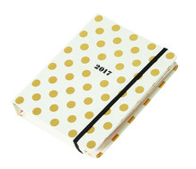 Gold Dot Diary