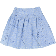 Blue Embroidered Skirt