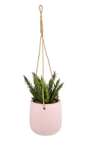 Hanging Plant in lilac pot