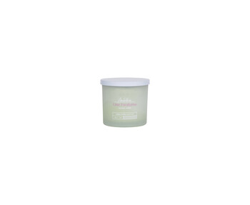 Lime Eucalyptus Mini Candle 3.99