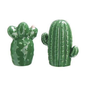 Salt & Pepper Cactus 6.99