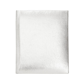 Neutral Christmas Silver Book