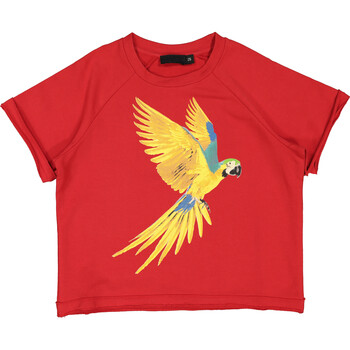 Red Short Sleve Parrot Sweatshirt