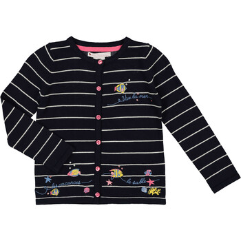 Navy Stripe Embroidered Jumper