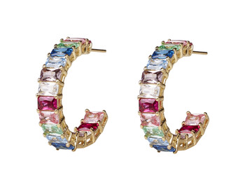 Multi Colour Hoop Earring