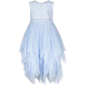 Light Blue Bead & Tiered Tulle Dress